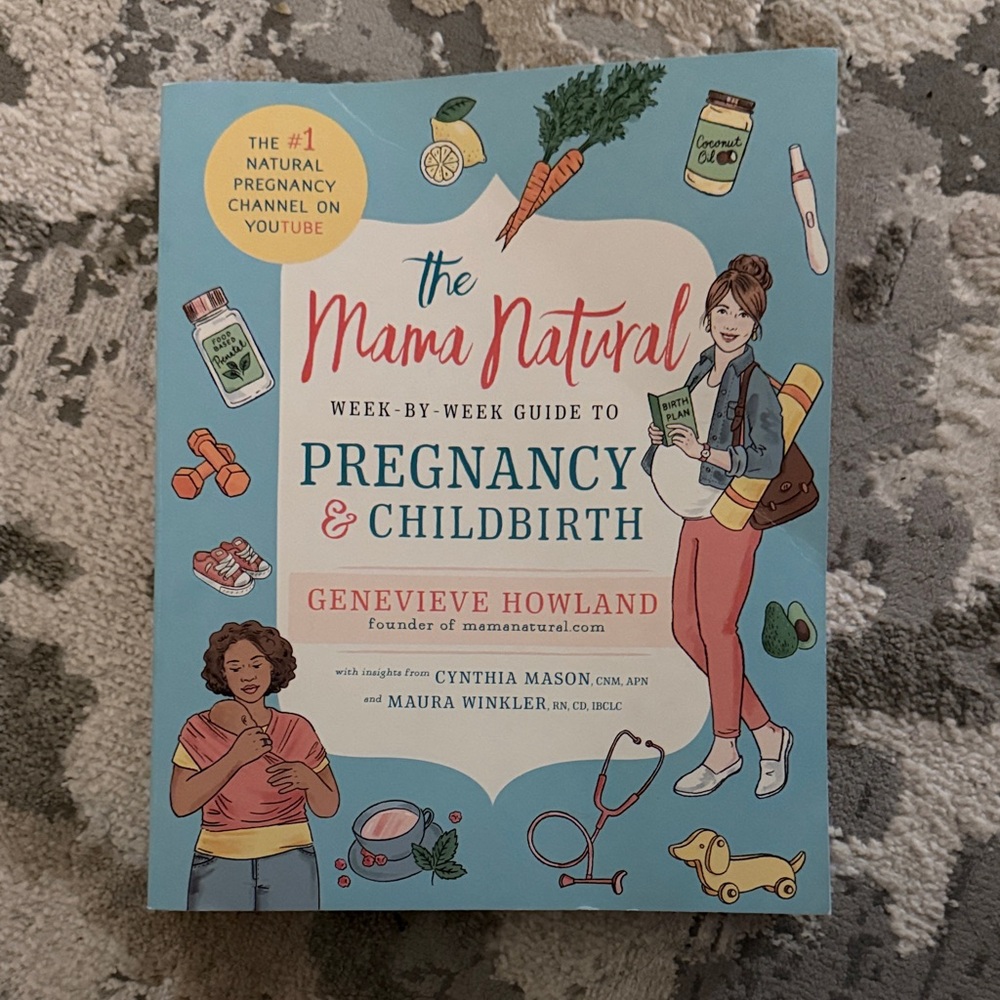 The Mama Natural Guide to Pregnancy & Childbirth Book